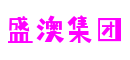 广东省东莞市盛澳集团自动化科技有限公司