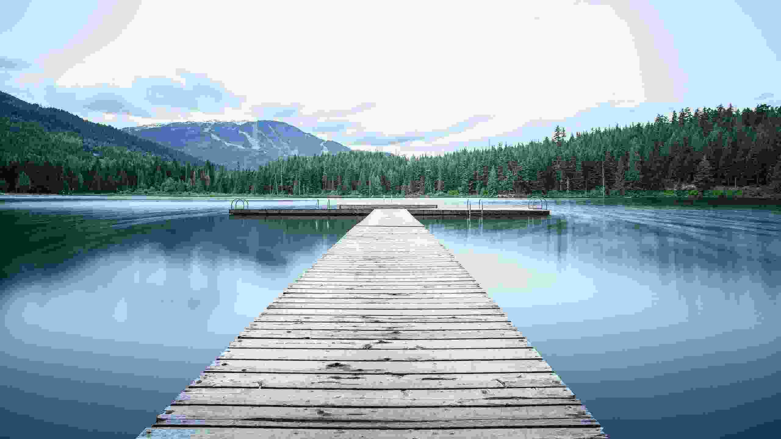 banner1
